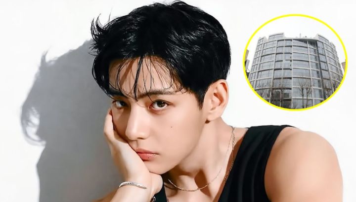 Cómo es la impactante casa de Kim Taehyung, V de BTS, que compró por una cifra millonaria