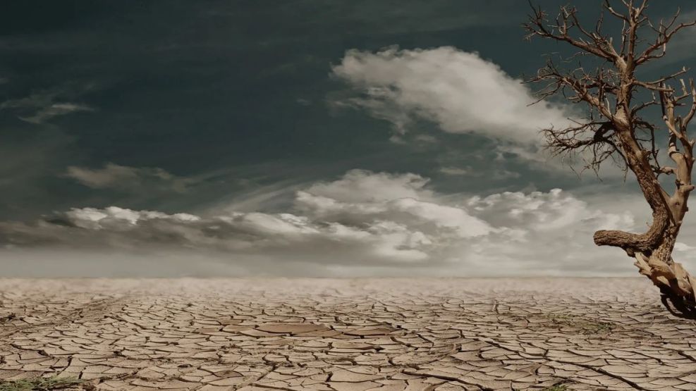 Un nuevo estudio advirtió qué lugares en el mundo podrían sufrir sequías de día cero.