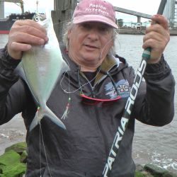 La veda que impide pescar pejerrey los días de semana y el clima le juegan una mala pesada al pescador deportivo.