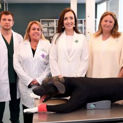 Victoria Villarruel | Foto:CEDOC