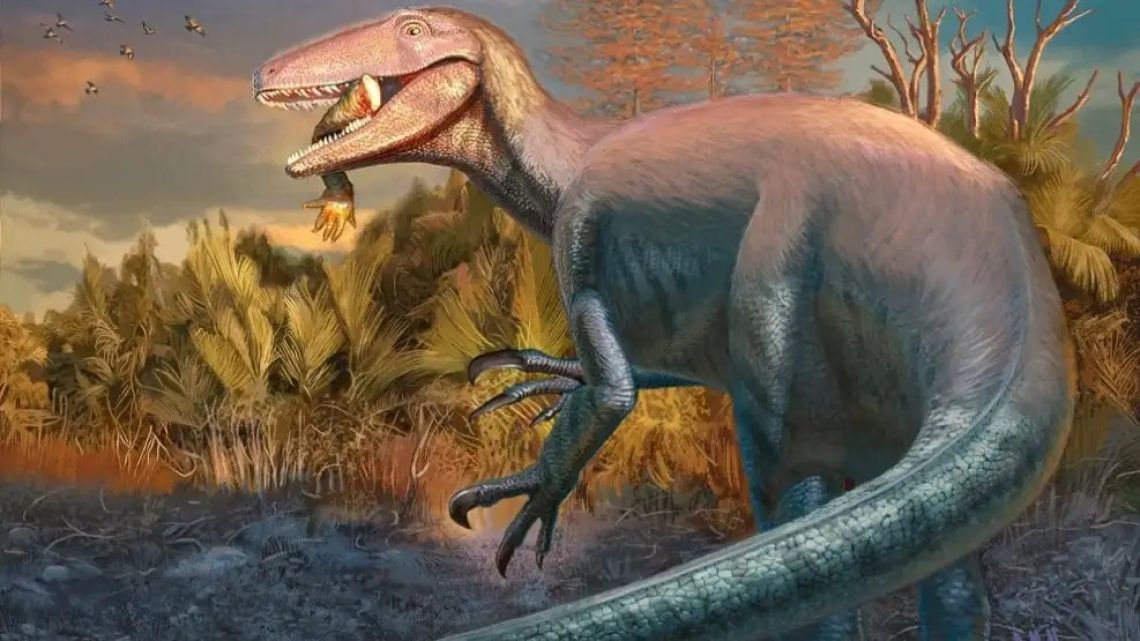 Artistic illustration of Joaquinraptor casali. 