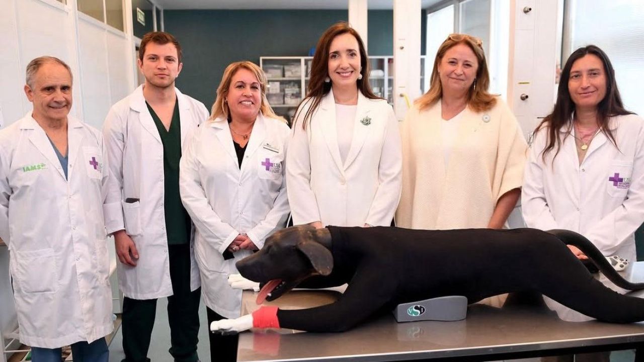 Victoria Villarruel | Foto:CEDOC