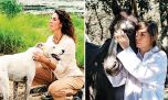 Efecto Conan: los médiums de mascotas