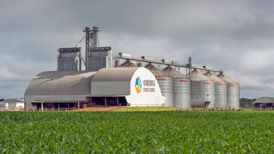 Lo ganadores del fugaz plan “retenciones cero”: cómo Milei y Caputo pueden ponerse en contra al campo