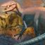New species of megaraptor discovered in Patagonia