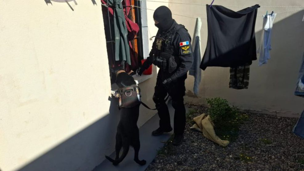 Un megaoperativo desbarató una banda narco. 