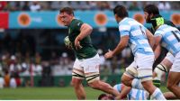Los Pumas vs. Springboks