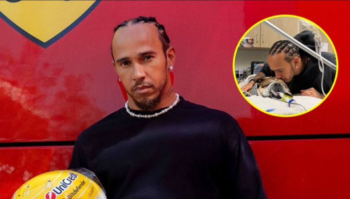 El dramático momento de Lewis Hamilton por la salud de su perro Roscoe: "No sabemos si despertará"