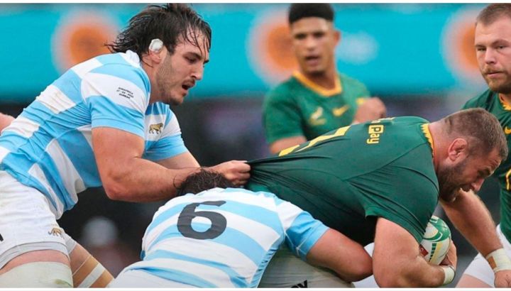 Los Pumas vs. Springboks