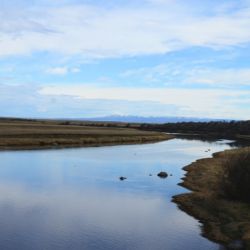 La pesca deportiva es una de las prácticas culturales más arraigadas en la provincia, y el Gobierno busca consolidar una política de conservación activa que equilibre desarrollo, control y acceso ciudadano a esta actividad. 