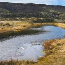 La pesca deportiva es una de las prácticas culturales más arraigadas en la provincia, y el Gobierno busca consolidar una política de conservación activa que equilibre desarrollo, control y acceso ciudadano a esta actividad. 