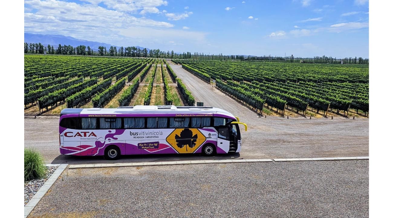 De la Precordillera al cielo estrellado: vino y naturaleza en dos escapadas de Bus Vitivinícola a San Juan