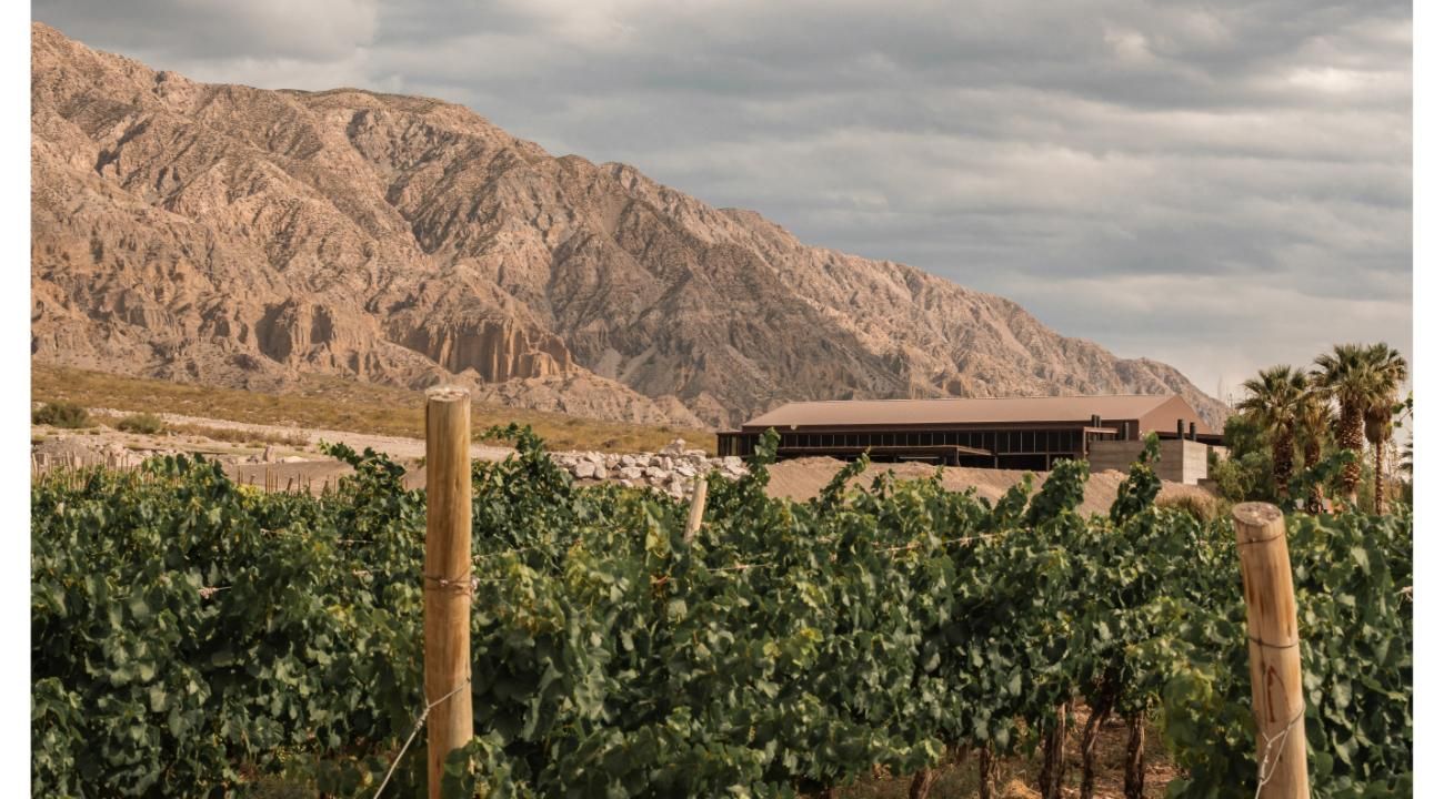 De la Precordillera al cielo estrellado: vino y naturaleza en dos escapadas de Bus Vitivinícola a San Juan