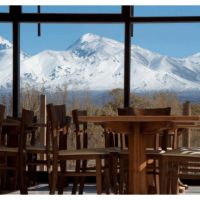 De la Precordillera al cielo estrellado: vino y naturaleza en dos escapadas de Bus Vitivinícola a San Juan