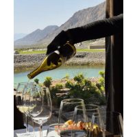 De la Precordillera al cielo estrellado: vino y naturaleza en dos escapadas de Bus Vitivinícola a San Juan