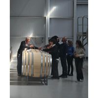 De la Precordillera al cielo estrellado: vino y naturaleza en dos escapadas de Bus Vitivinícola a San Juan