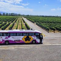 De la Precordillera al cielo estrellado: vino y naturaleza en dos escapadas de Bus Vitivinícola a San Juan
