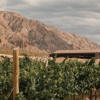 De la Precordillera al cielo estrellado: vino y naturaleza en dos escapadas de Bus Vitivinícola a San Juan
