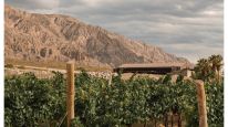 De la Precordillera al cielo estrellado: vino y naturaleza en dos escapadas de Bus Vitivinícola a San Juan