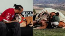 Lewis Hamilton y Roscoe
