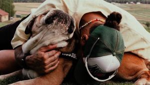 Hamilton y Roscoe
