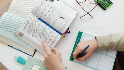 perfil emprendedores