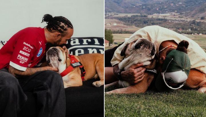 El dolor de Lewis Hamilton por la muerte de su perro Roscoe: "Tuve que tomar la decisión más difícil de mi vida"