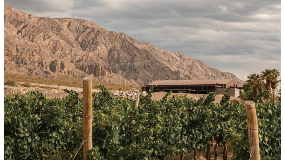 De la Precordillera al cielo estrellado: vino y naturaleza en dos escapadas de Bus Vitivinícola a San Juan