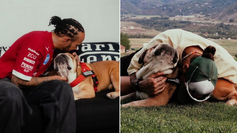 Lewis Hamilton y Roscoe