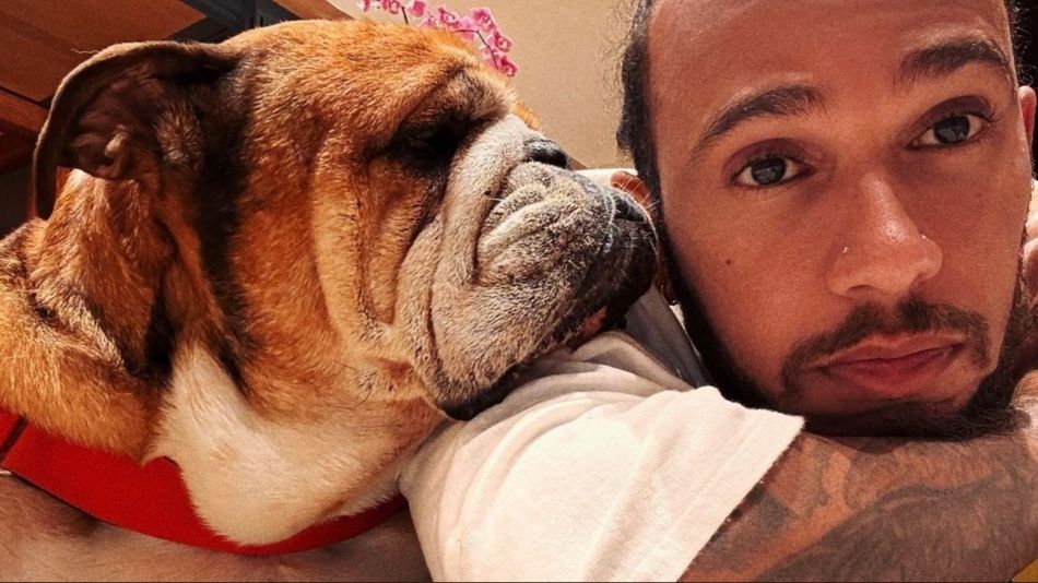 Roscoe y Lewis Hamilton