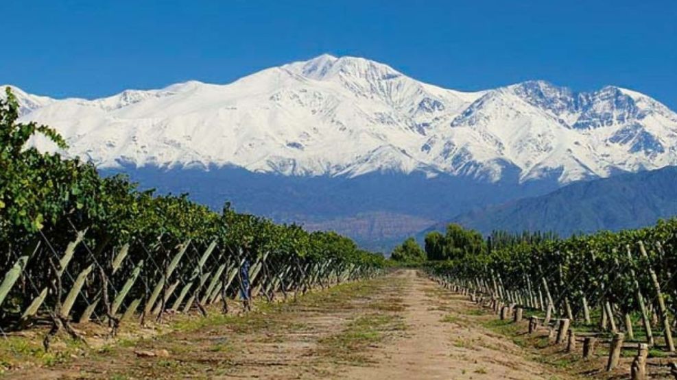 Recorrido por bodegas mendocinas: vinos premium y nuevas tendencias