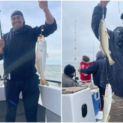 En el inicio de la temporada, la pescadilla es la especie más abundante junto con gatuzos y palometas de muy buen porte.