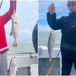 En el inicio de la temporada, la pescadilla es la especie más abundante junto con gatuzos y palometas de muy buen porte.