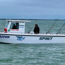 En el inicio de la temporada, la pescadilla es la especie más abundante junto con gatuzos y palometas de muy buen porte.