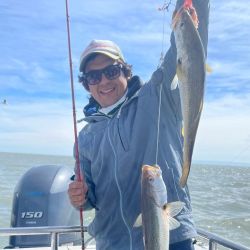 En el inicio de la temporada, la pescadilla es la especie más abundante junto con gatuzos y palometas de muy buen porte.