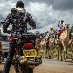 Los espectadores observan a los jinetes de camellos competir en la carrera profesional durante las celebraciones del 32.º Derby Internacional de Camellos de Maralal, celebrado en Maralal. El 32.º Derby Internacional de Camellos de Maralal reunió a 37 jinetes profesionales de las comunidades Samburu, Turkana y Rendille, algunos de los cuales recorrieron más de 150 km con sus camellos para competir. Más allá del prestigioso premio económico, el evento constituye una importante muestra cultural, atrae a visitantes internacionales, impulsa el turismo local y fomenta la paz entre comunidades históricamente divididas por conflictos por los recursos en una región gravemente afectada por el cambio climático. | Foto:LUIS TATO / AFP
