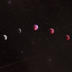 Mhoni Vidente predicciones PC  Farzadme