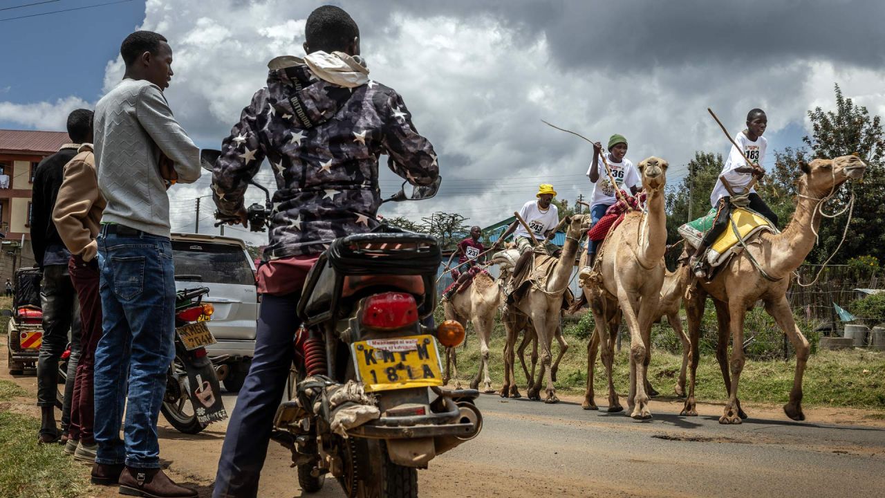 Los espectadores observan a los jinetes de camellos competir en la carrera profesional durante las celebraciones del 32.º Derby Internacional de Camellos de Maralal, celebrado en Maralal. El 32.º Derby Internacional de Camellos de Maralal reunió a 37 jinetes profesionales de las comunidades Samburu, Turkana y Rendille, algunos de los cuales recorrieron más de 150 km con sus camellos para competir. Más allá del prestigioso premio económico, el evento constituye una importante muestra cultural, atrae a visitantes internacionales, impulsa el turismo local y fomenta la paz entre comunidades históricamente divididas por conflictos por los recursos en una región gravemente afectada por el cambio climático. | Foto:LUIS TATO / AFP
