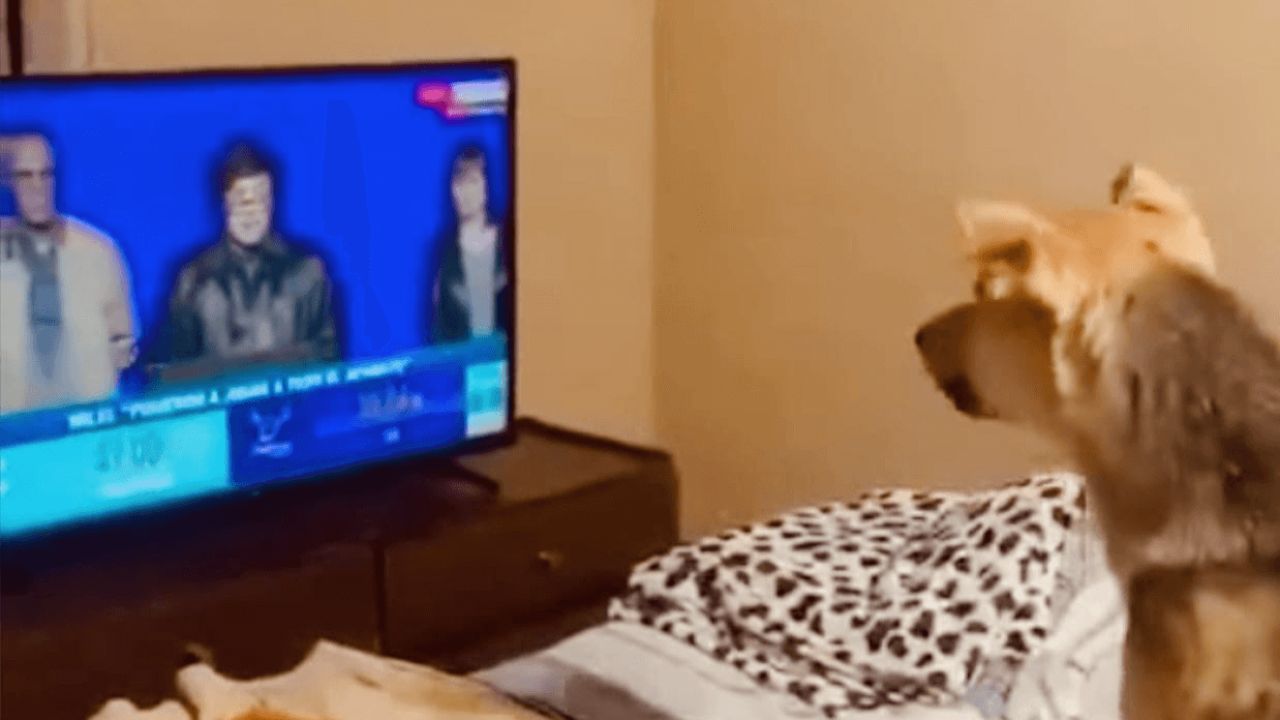 perro peroncho milei | Foto:CEDOC