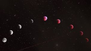 Predicciones de Mhoni Vidente