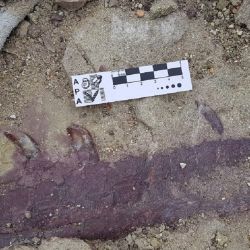 Gentileza Marcelo Luna.