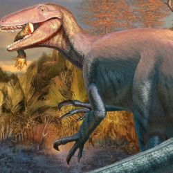 Reconstrucción en vida del nuevo dinosaurio carnívoro Joaquinraptor casali. 