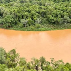 Fundación Rewilding Argentina es una de las cuatro organizaciones creadoras del proyecto,