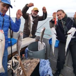 La pesca en estos meses tiene como protagonista al mero, que llega con muchos cardúmenes que se ven en el ecosonda y en una actividad que se extenderá hasta parte del mes de noviembre. 
