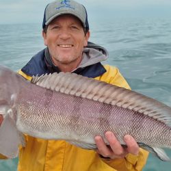 La pesca en estos meses tiene como protagonista al mero, que llega con muchos cardúmenes que se ven en el ecosonda y en una actividad que se extenderá hasta parte del mes de noviembre. 