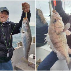 La pesca en estos meses tiene como protagonista al mero, que llega con muchos cardúmenes que se ven en el ecosonda y en una actividad que se extenderá hasta parte del mes de noviembre. 