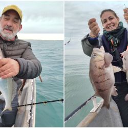 La pesca en estos meses tiene como protagonista al mero, que llega con muchos cardúmenes que se ven en el ecosonda y en una actividad que se extenderá hasta parte del mes de noviembre. 