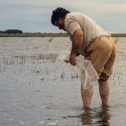 El agua volvió, y con ella la esperanza de que San Cayetano recupere su tradición pesquera.