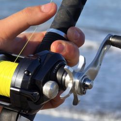 Además de chuchos, hay excelentes pejerreyes que se prenden a los cebos que apuntan a la variada, grandes brótolas que se disfrutan gratamente desde lo gastronómico y ya, algunos cañófilos, pinchan las primeras corvinas rubias. 