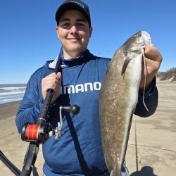 Además de chuchos, hay excelentes pejerreyes que se prenden a los cebos que apuntan a la variada, grandes brótolas que se disfrutan gratamente desde lo gastronómico y ya, algunos cañófilos, pinchan las primeras corvinas rubias. 